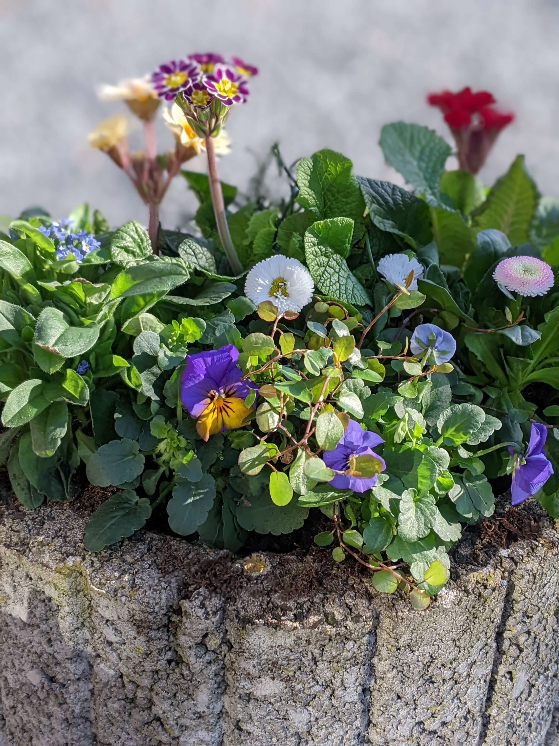 Willkommen in Hartefeld